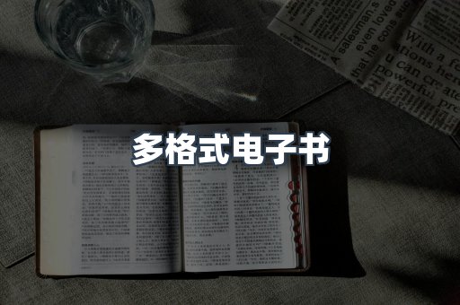 多格式电子书